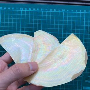白蝶貝 3枚セット 螺鈿細工 ハンドメイド ハンドクラフト