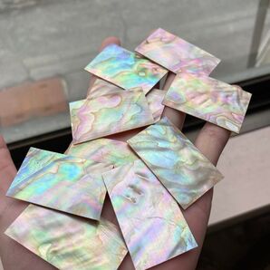 黒蝶貝 スライス 10枚セット 螺鈿細工 ハンドメイド ハンドクラフト 素材