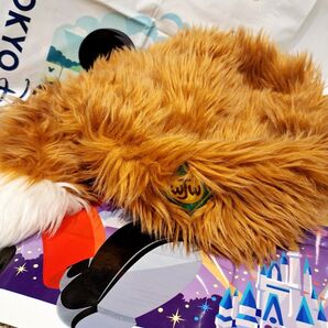 ディズニー TDR ドナルドデイジー ウッドチャック ファンキャップ