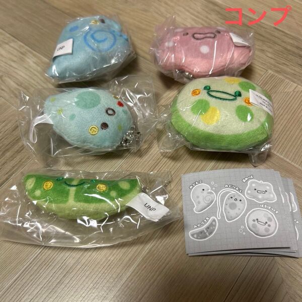ウルぬい 微生物ちゃん コンプリート ぬいぐるみ マスコット ガチャ 5個セット