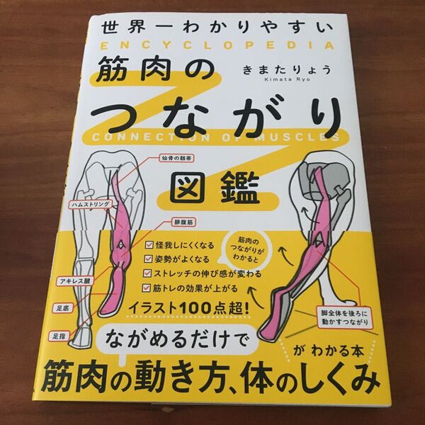 世界一わかりやすい 筋肉のつながり図鑑