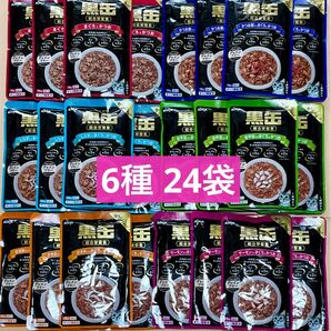 キャットフード アイシア 黒缶 パウチ 6種 24袋 猫 aixia 黒缶パウチ グレインフリー