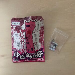 HUNTER×HUNTER 冨樫義博展 アクリルチャーム クロロVSヒソカ 伸縮自在の愛