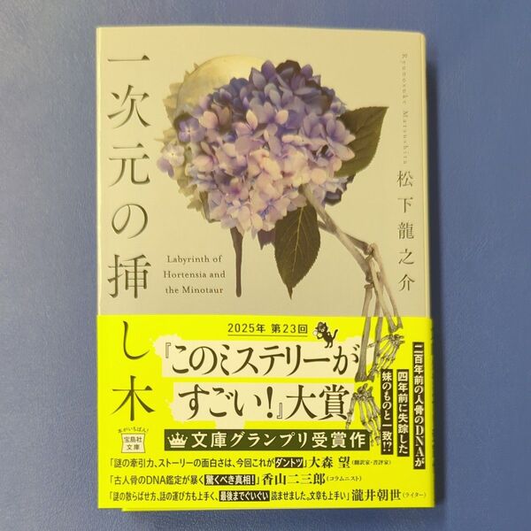 一次元の挿し木 (宝島社文庫 Cま-5-1 このミス大賞) 松下龍之介/著 used