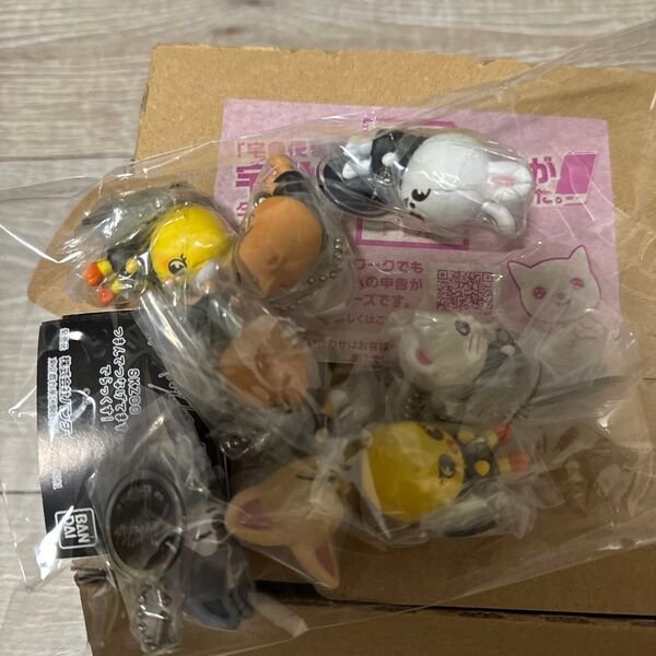 8種コンプセット】SKZOO つまんでつなげてますこっとでらっくす!
