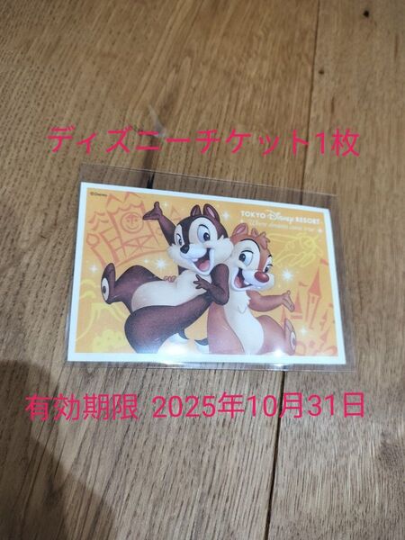 ディズニー入園チケット 有効期限2025年10月31日 ご使用方法が分かる方のみ