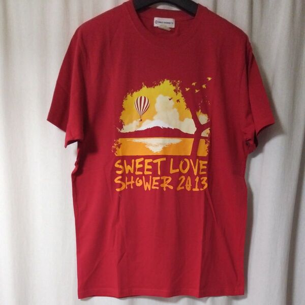 2013ライブのTシャツですL、自宅保存です、気にされないかたに、未使用