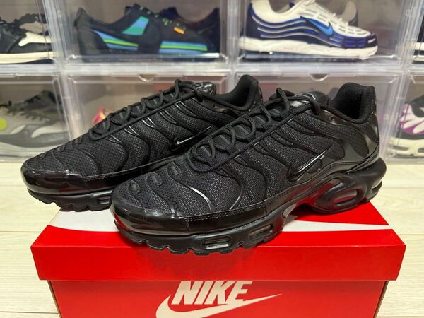 NIKE AIR MAX PLUS ナイキ エア マックス プラス マップラ