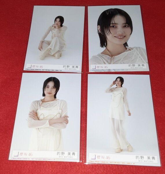 的野美青 櫻坂46 生写真 Addiction アルバム コンプ 封入