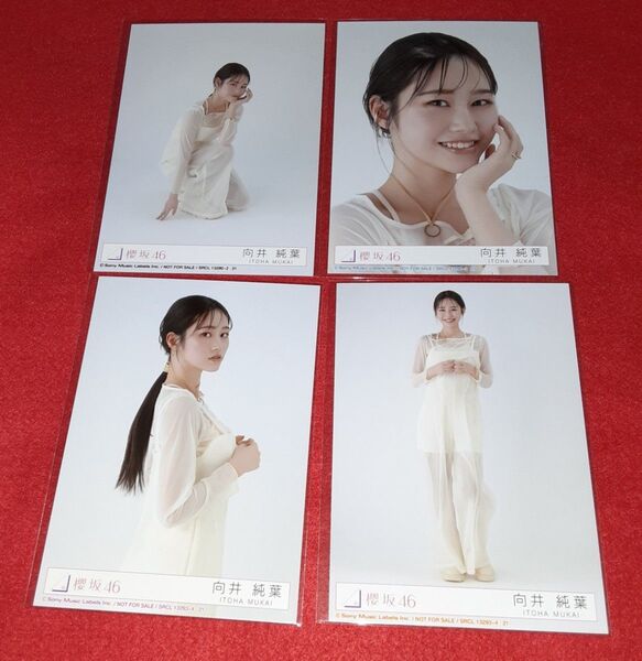 向井純葉 櫻坂46 生写真 Addiction アルバム コンプ 封入
