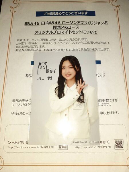 谷口愛季 櫻坂46 生写真 ブロマイド ローソン アプリくじ 当選品