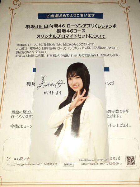 的野美青 櫻坂46 生写真 ブロマイド ローソン アプリくじ 当選品