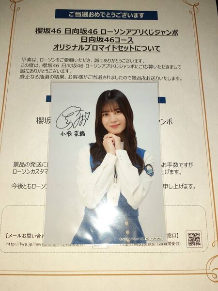 小坂菜緒 日向坂46 生写真 ブロマイド ローソン アプリくじ 当選品