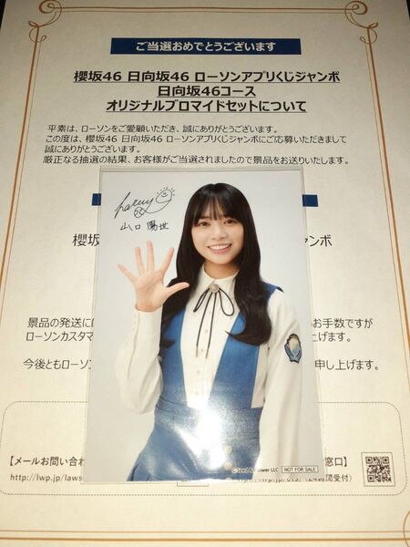 山口陽世 日向坂46 生写真 ブロマイド ローソン アプリくじ 当選品