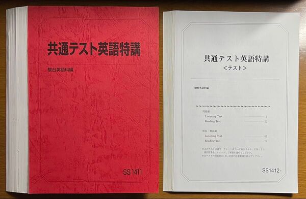 【裁断済】駿台 2024/2025 竹岡広信 共通テスト英語特講