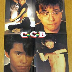 C-C-B 岩井由紀子 ポスター☆渡辺英樹 笠浩二 米川英之 田口智治 おニャン子クラブ うしろゆびさされ組 ゆうゆ