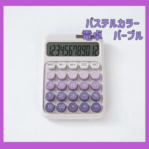 パステルカラー 電卓 ソーラー&電池対応 12桁表