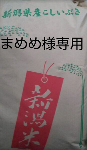 新潟産こしいぶき20Kg