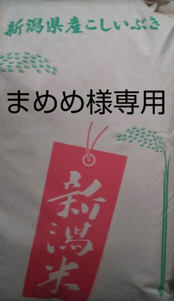 新潟産こしいぶき20Kg