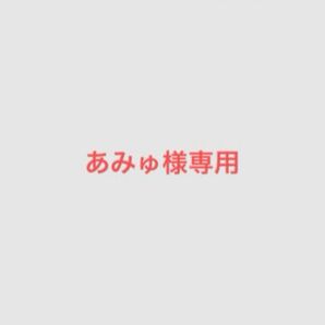 あみゅ様専用