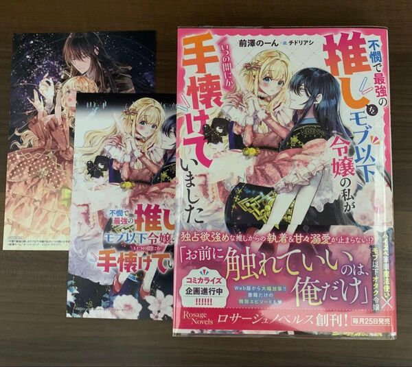 不憫で最強の推しをモブ以下令嬢の私がいつの間にか手懐けていました (Rosage Novels) 前澤のーん/著