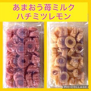 博多の女 あまおう苺ミルク&ハチミツレモン