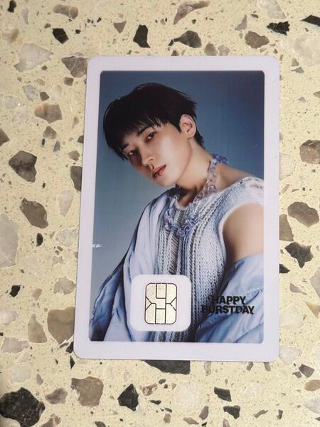 SEVENTEEN HAPPY BURSTDAY NAMANEカード ウォヌ