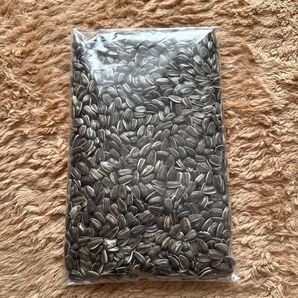 ひまわりの種 約300g