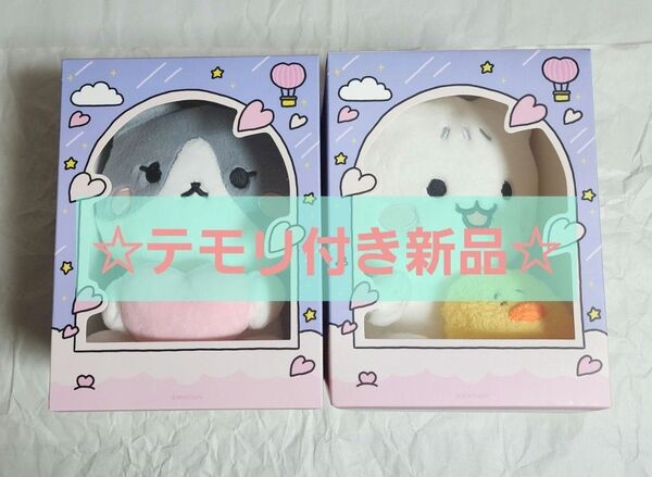 新品 SHINee テミン クン デンイ ポップアップ 20cmドール ぬいぐるみ 2種セット