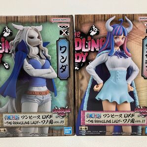 ワンピース DXF フィギュア ワンダ うるティ