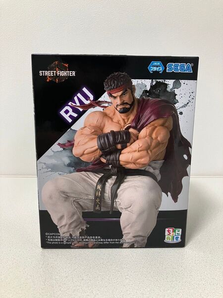 ストリートファイター ぬーどるストッパーフィギュア リュウ