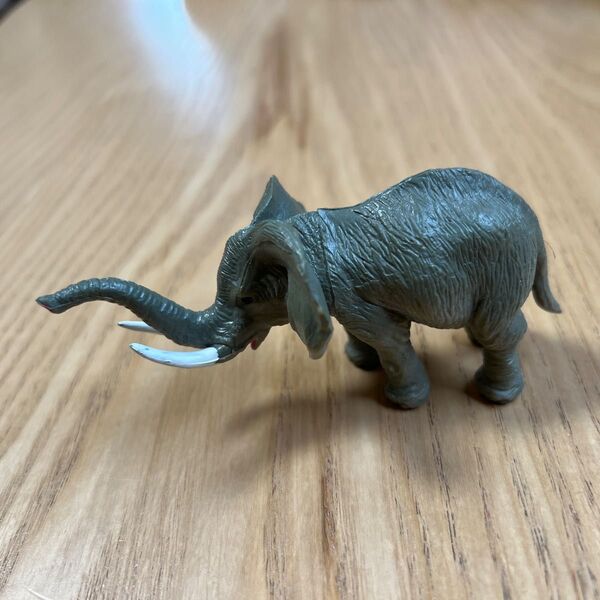 ゾウ フィギュア ぞう 生き物