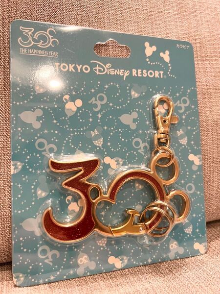 【新品未開封】東京ディズニーランド 30周年 カラビナ キーホルダー 限定 Disney ミッキーグッツ ディズニー