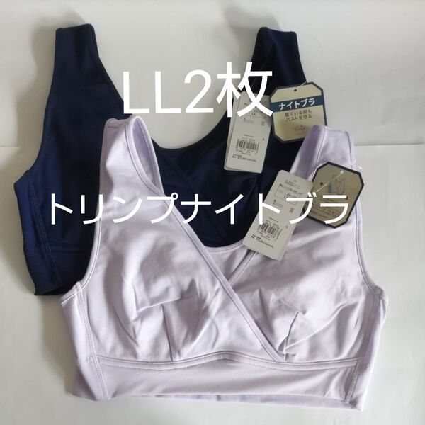 トリンプ ナイトブラ 5220 ハーフトップ ネイビーブルー & パープル LL 2枚