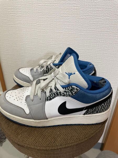 NIKE AIR JORDAN 1 LOW 25㎝