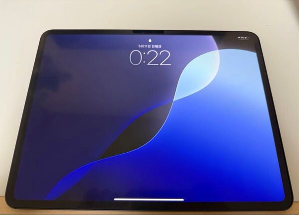 iPad Pro 13インチ M4 スペースブラック 256GB Applecare+加入済み