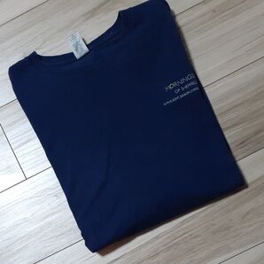 Tシャツ メンズXL 訳あり