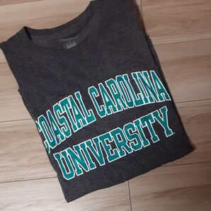Champion Tシャツ メンズLサイズ