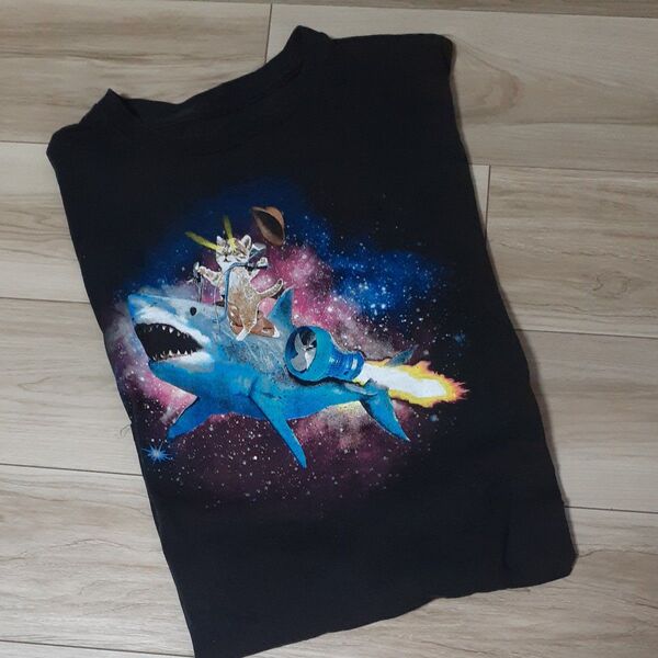 Tシャツ メンズLサイズ