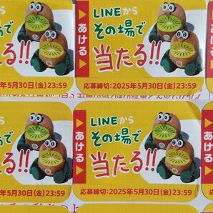 ゼスプリ zespri キャンペーン 応募シール 13枚