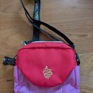 ALDIES All Mini Shoulder Bag