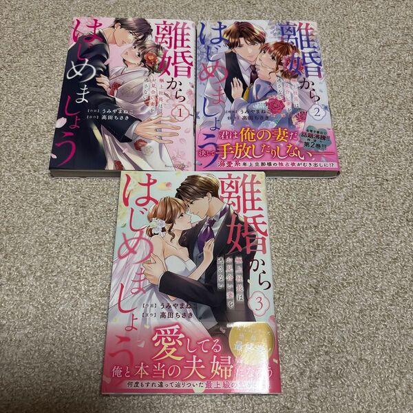 うみやまねこ/高田ちさき「離婚からはじめましょう 極上社長はお見合い妻を逃さない 全巻完結」