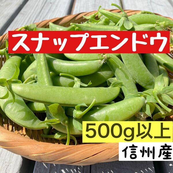 スナップエンドウ 信州産 スナップ 新鮮 スナックエンドウ