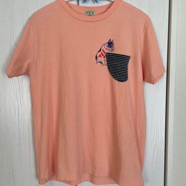 TES エンドレスサマー Tシャツ M 美品 半袖