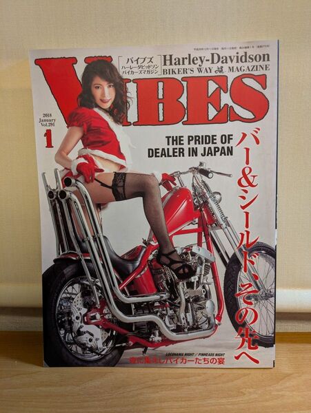 VIBES バイブス 2018年1月号 Vol.291 ハーレーダビッドソン 雑誌 伊沢千夏