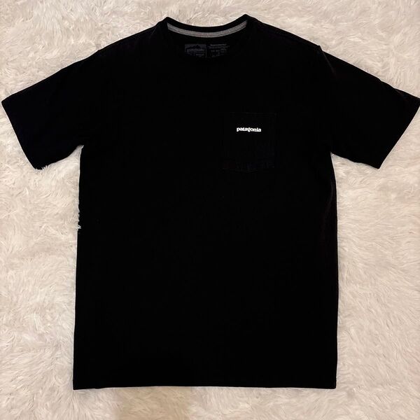 希少★patagonia ブラック 黒 Tシャツ S パタゴニア
