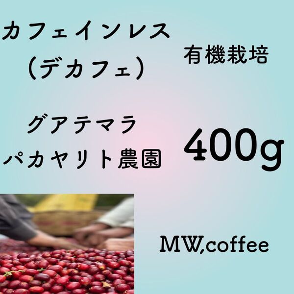 カフェインレス(デカフェ) グアテマラ 400g自家焙煎コーヒー豆 有機栽培