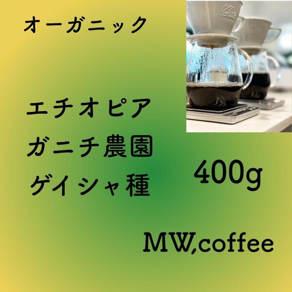 エチオピア ガニチ農園ゲイシャ種ナチュラル400g自家焙煎コーヒー豆 有機栽培