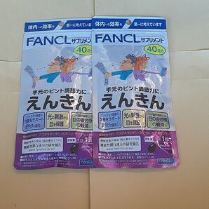 ファンケル えんきん 40日分×2袋