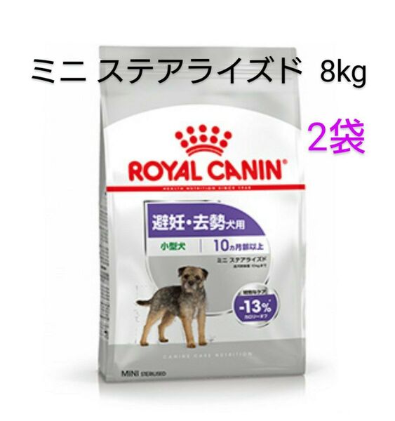 ロイヤルカナン ミニステアライズド 避妊去勢犬用 8kg×2個
